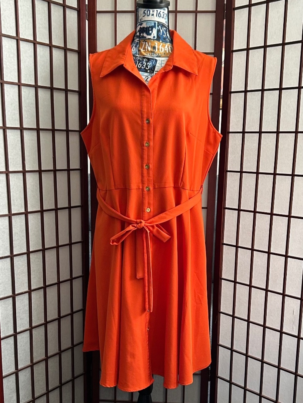 Sharagano Sleeveless Shirt Dress